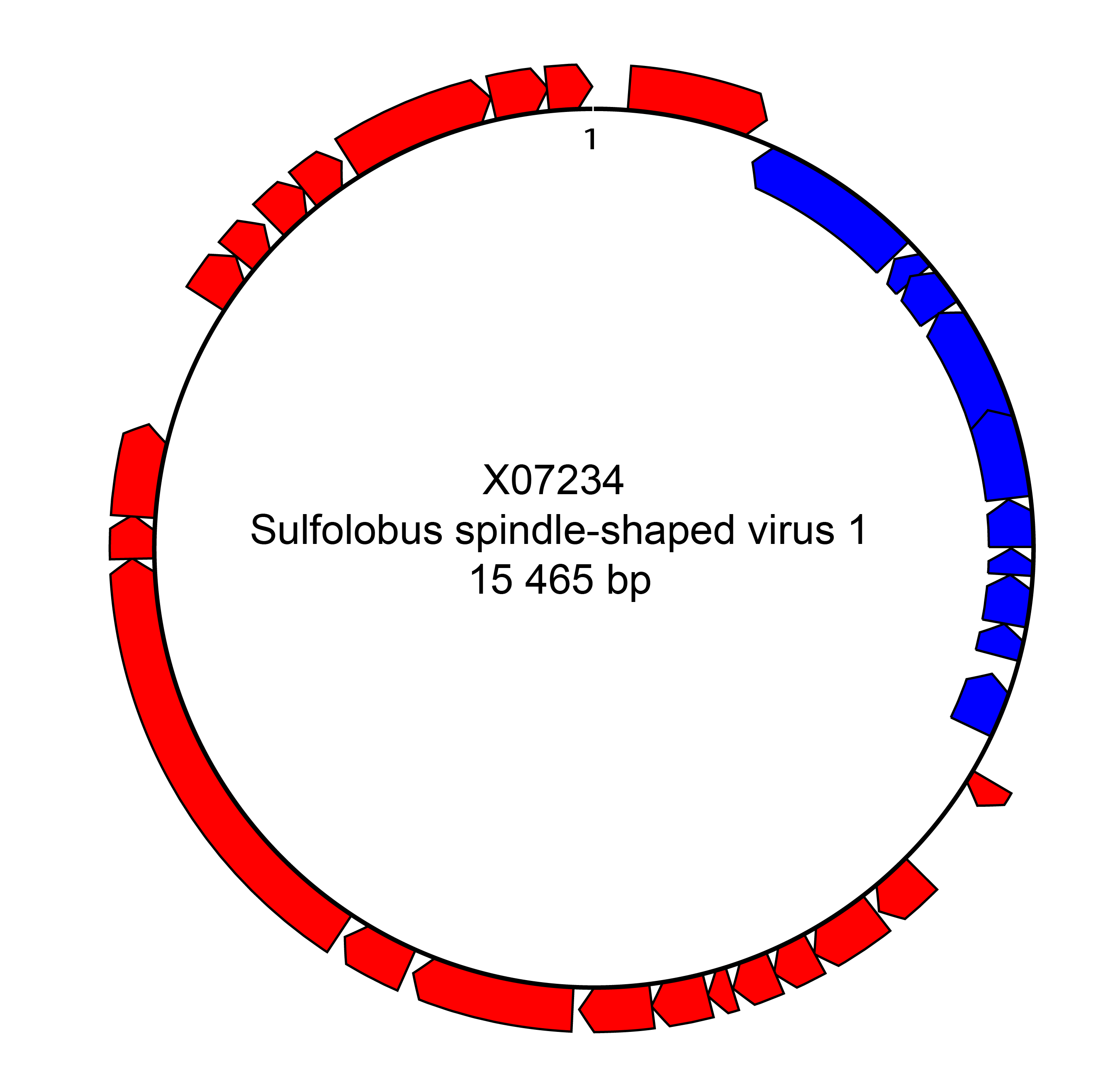 Fuselloviridae genome